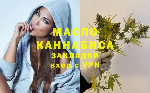 индика Баксан